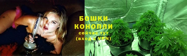 бошки Новозыбков