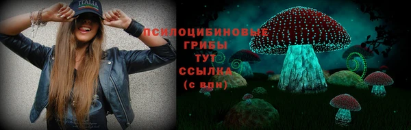 не бодяженный Новодвинск