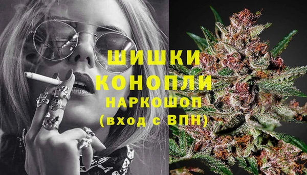 бошки Новозыбков