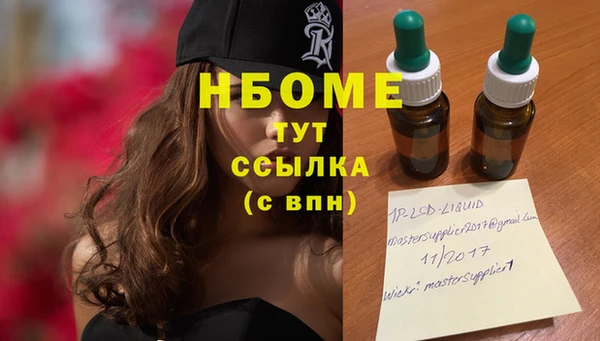 не бодяженный Новодвинск